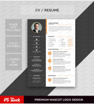 Employment Profile that Highlights Your Professional Identity Beautifully (PSD)