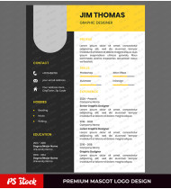 Attractive Resume Design CV Template