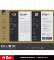 Career Resume For Professionals And Experts