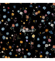 Flower Patterns - Hand-Drawn Vector Illustrations