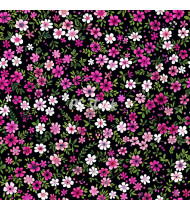 Flower Patterns - Hand-Drawn Vector Illustrations