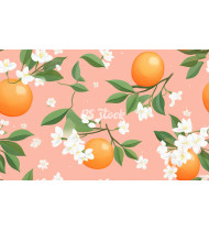 Fruit Patterns - Hand-Drawn Vector Illustrations