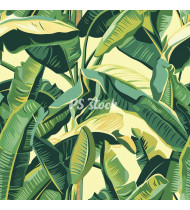 Jungle Patterns in Modern Flat Line Style - Hand-Drawn Vector Illustration