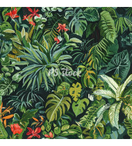 Jungle Patterns in Modern Flat Line Style - Hand-Drawn Vector Illustration