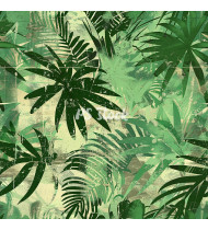 Jungle Patterns in Modern Flat Line Style - Hand-Drawn Vector Illustration