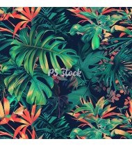 Jungle Patterns in Modern Flat Line Style - Hand-Drawn Vector Illustration