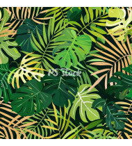 Jungle Patterns in Modern Flat Line Style - Hand-Drawn Vector Illustration