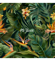 Jungle Patterns in Modern Flat Line Style - Hand-Drawn Vector Illustration