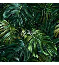 Jungle Patterns in Modern Flat Line Style - Hand-Drawn Vector Illustration