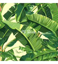 Jungle Patterns in Modern Flat Line Style - Hand-Drawn Vector Illustration