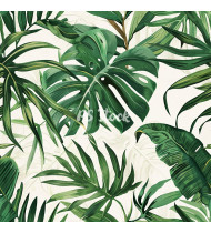 Jungle Patterns in Modern Flat Line Style - Hand-Drawn Vector Illustration