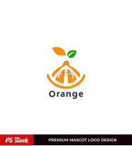 Vibrant Orange Logo