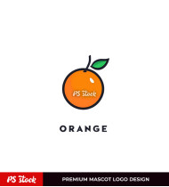 Orange Logo Image