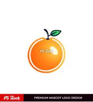 Orange Fruit Mascot
