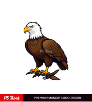 Falcon Illustration Logo Design